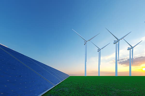 Kousei and Sustainable Development